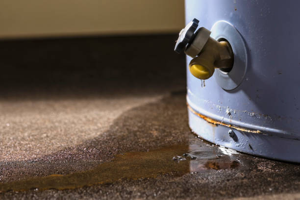 Best Basement water damage restoration  in Skokie, IL