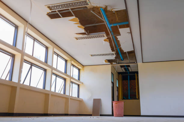 Water damage restoration experts in IL