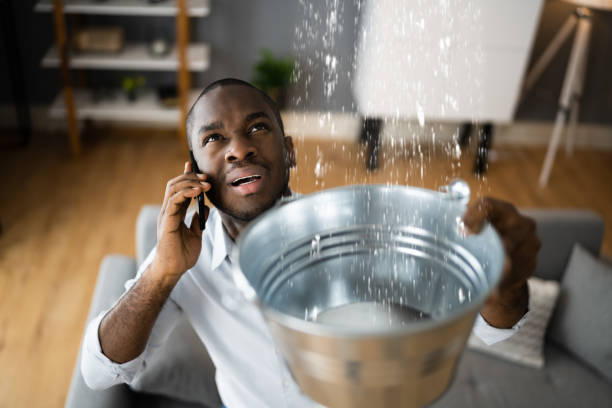 Best Ceiling water damage repair  in Skokie, IL