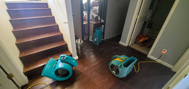 Best Mold removal after water damage  in Skokie, IL