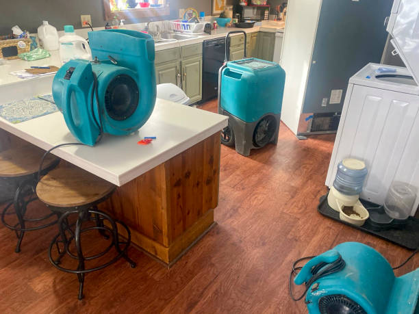 Best Local water damage restoration  in Skokie, IL