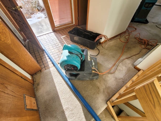 Best Water damage restoration experts  in Skokie, IL