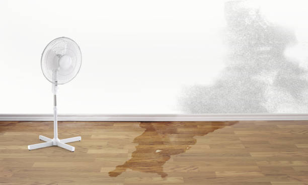 Best 24/7 water damage repair  in Skokie, IL
