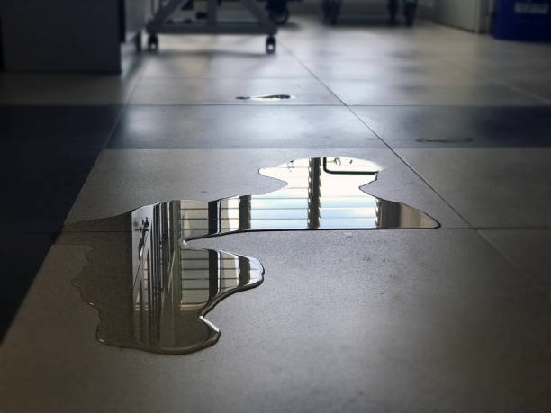Best Commercial water damage restoration  in Skokie, IL