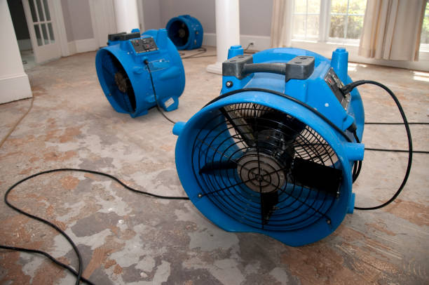 Best Flooded house restoration  in Skokie, IL