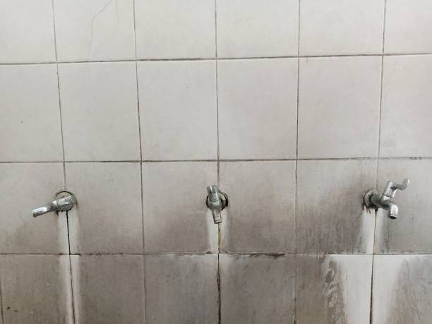 Best Residential water damage restoration  in Skokie, IL