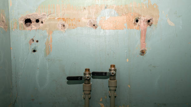 Best Professional water damage repair  in Skokie, IL