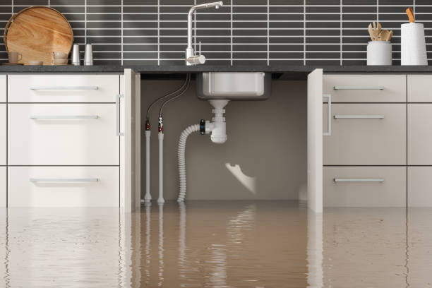  Skokie, IL Water damage restoration Pros
