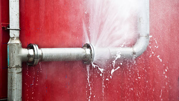Best Carpet water damage restoration  in Skokie, IL